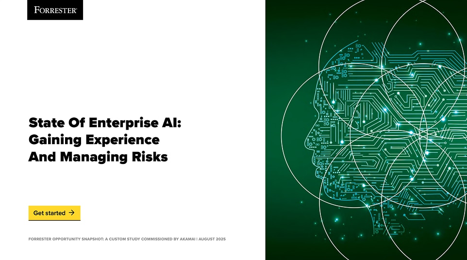 The State of Enterprise AI: Gaining Experience and Managing Risks
